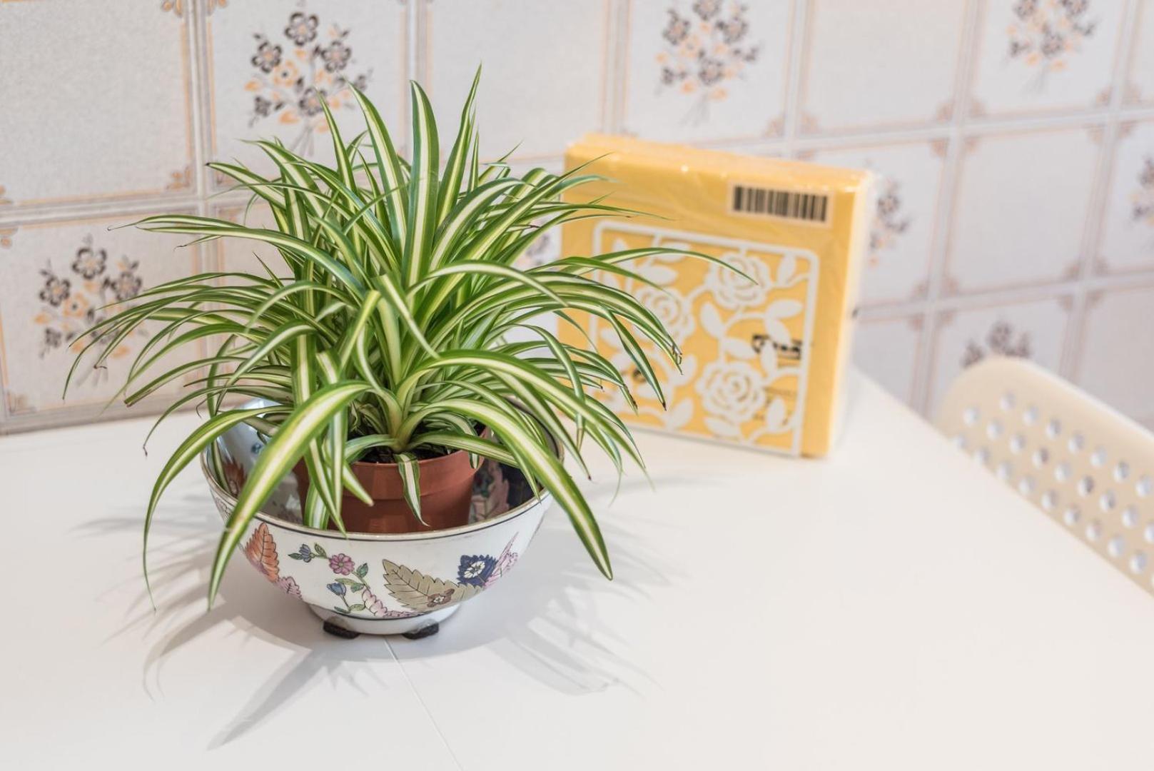 דירות Guestready - Eclectic Haven In The Heart Of פורטו מראה חיצוני תמונה